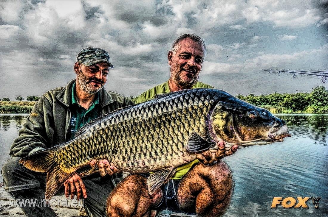 MeetCarp Romanian Awards 2013 - 1010070hdrmode2.jpg